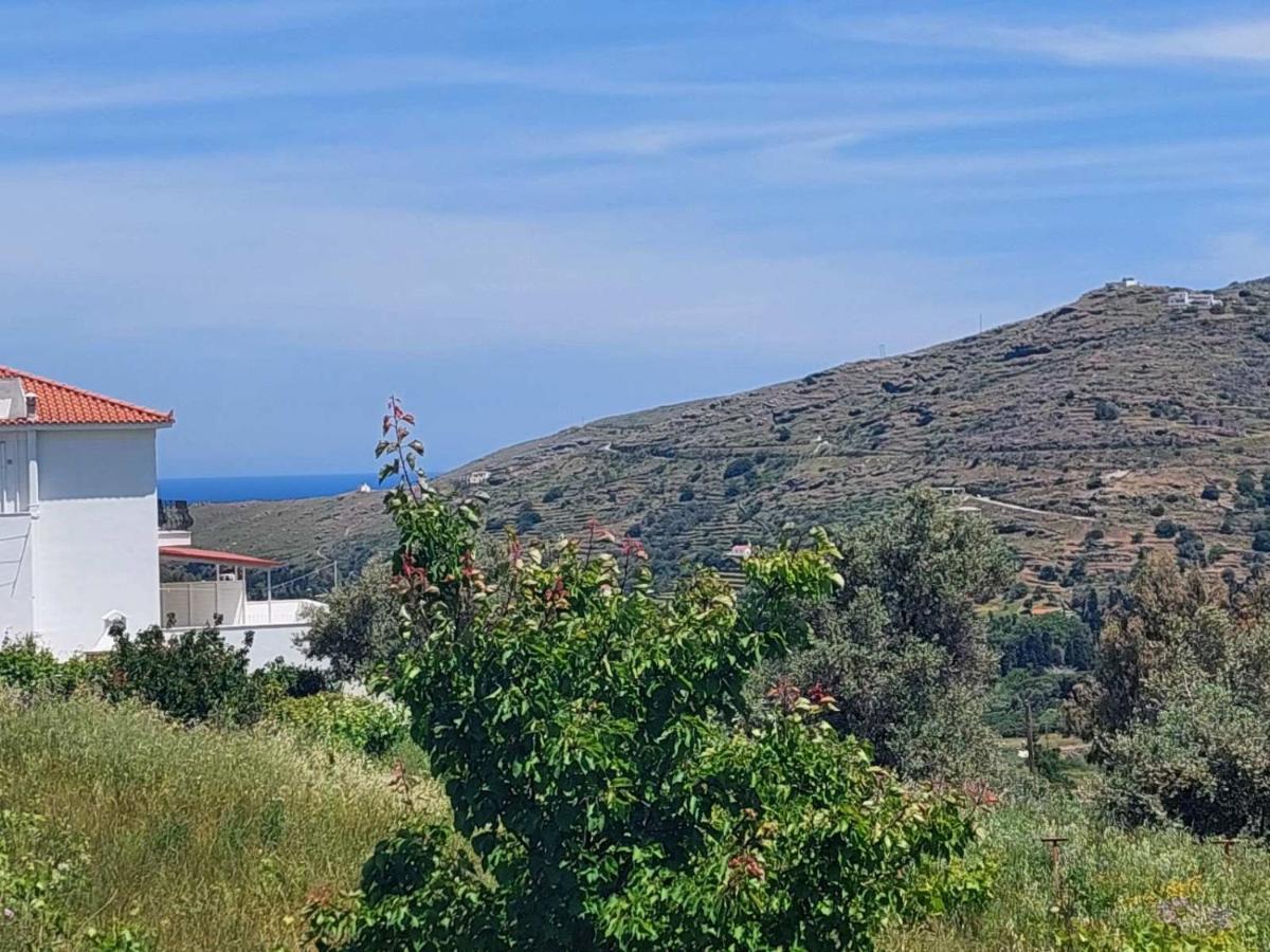 Palaiokrassa Sunny Appartment Mesaria  Екстериор снимка