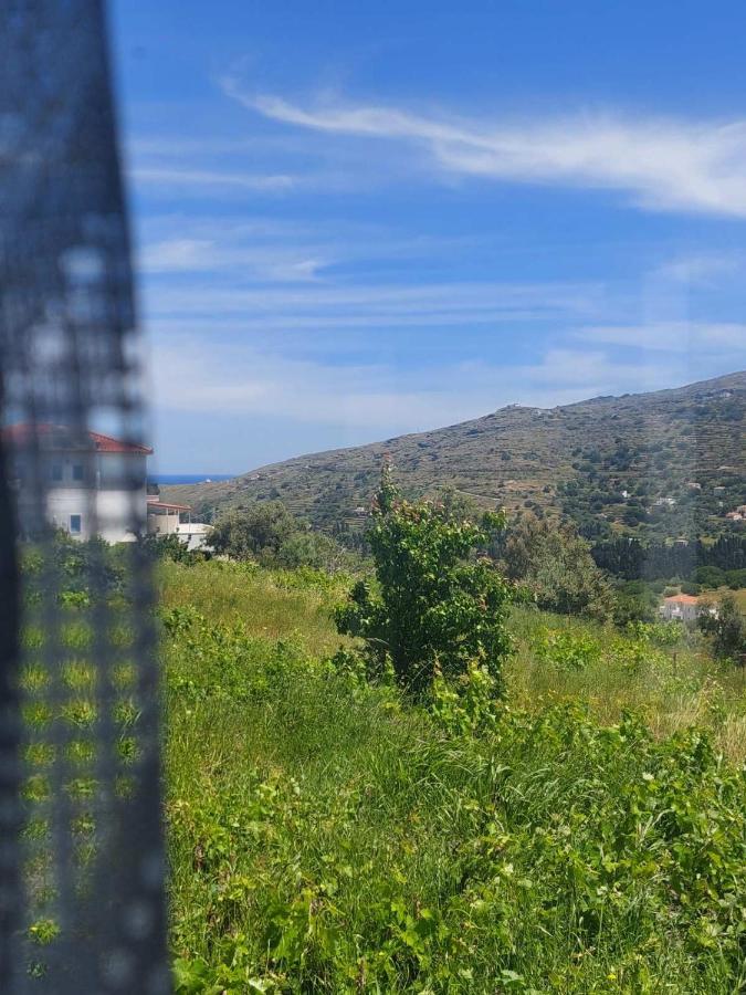 Palaiokrassa Sunny Appartment Mesaria  Екстериор снимка